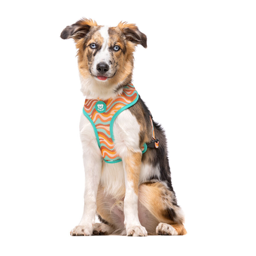 Dukier Peace Arn&eacute;s Reversible para perros, , large Imagen numero 2