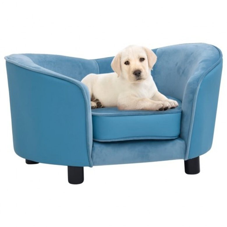 Vidaxl sofá grueso acolchado turquesa para perros, , large image number null