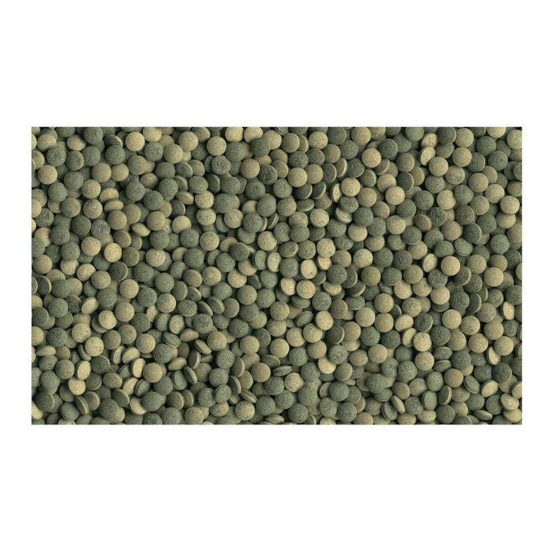 Tetra Pleco Tabletas, , large image number null