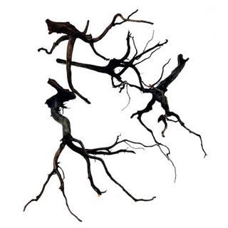 Madera Rasamala Black S