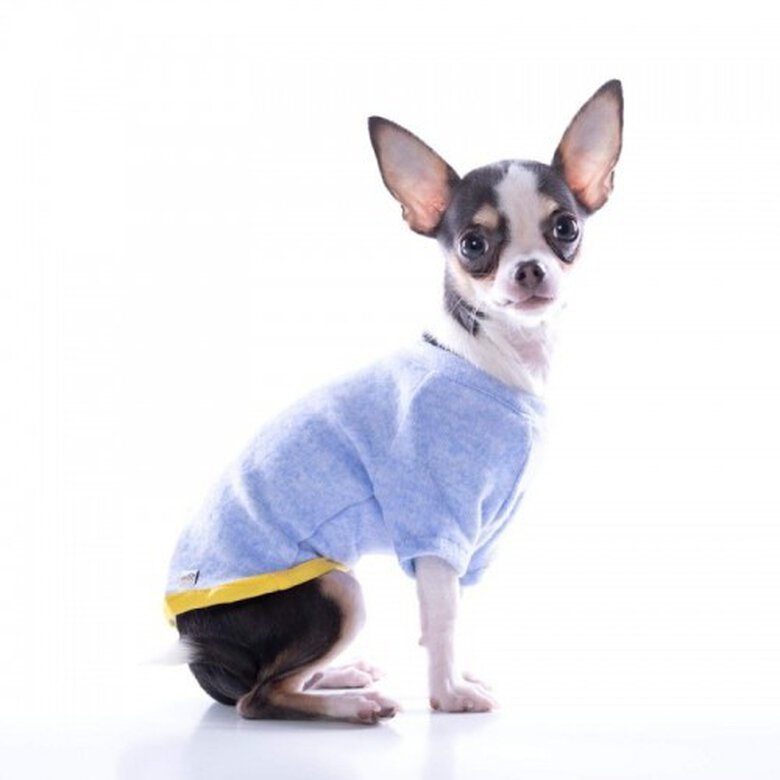Camiseta Nun Home para perros color Azul Claro, , large image number null