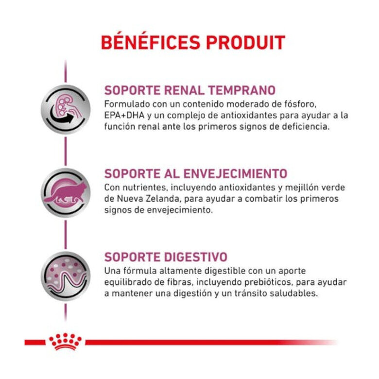 Royal Canin Veterinary Early Renal pienso para gatos, , large image number null