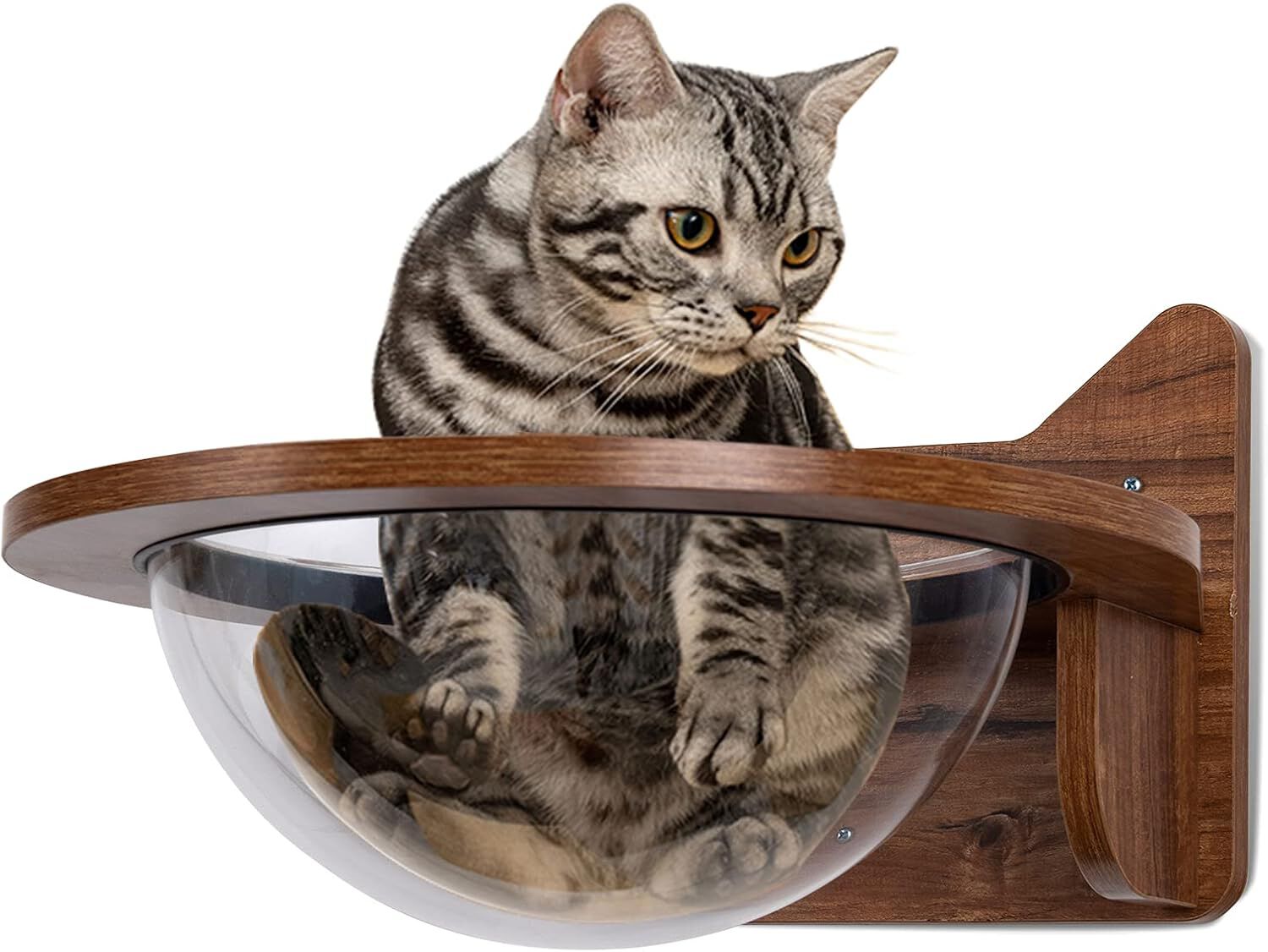 COSTWAY Cama para Gatos Montada a la Pared Casa Flotante con Burbuja Transparente C&aacute;psula para Gatos, , large Imagen numero 1