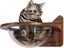 COSTWAY Cama para Gatos Montada a la Pared Casa Flotante con Burbuja Transparente Cápsula para Gatos, , large indicador imagen numero 1