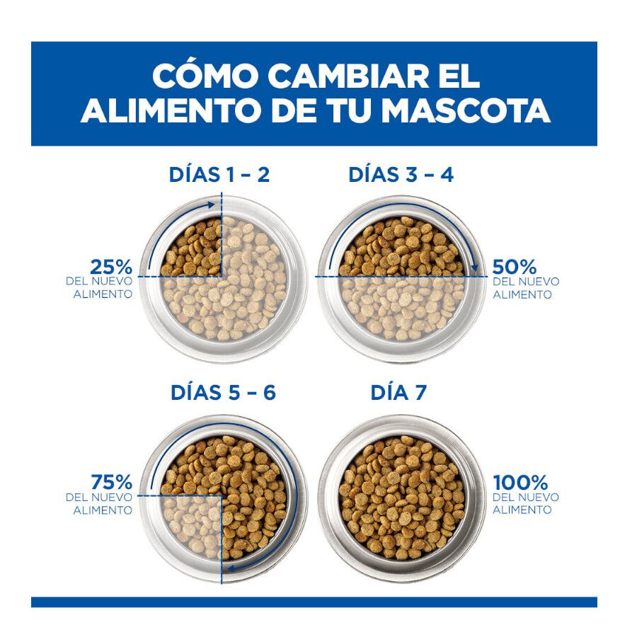 7 kg Hill's Science Plan Adult Pienso Salm&oacute;n para gatos, , large Imagen numero 12