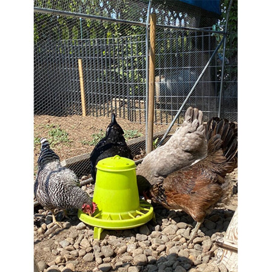 Ormital Comedero Tolva para aves de corral thumbnail