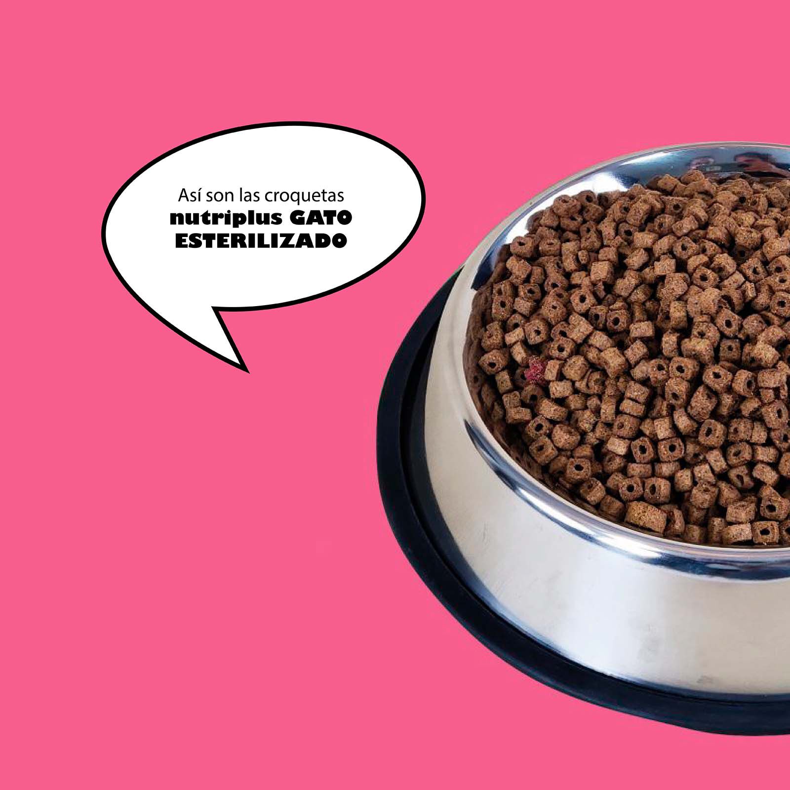 Pienso para gatos adultos esterilizados sabor Pollo, , large Imagen numero 3