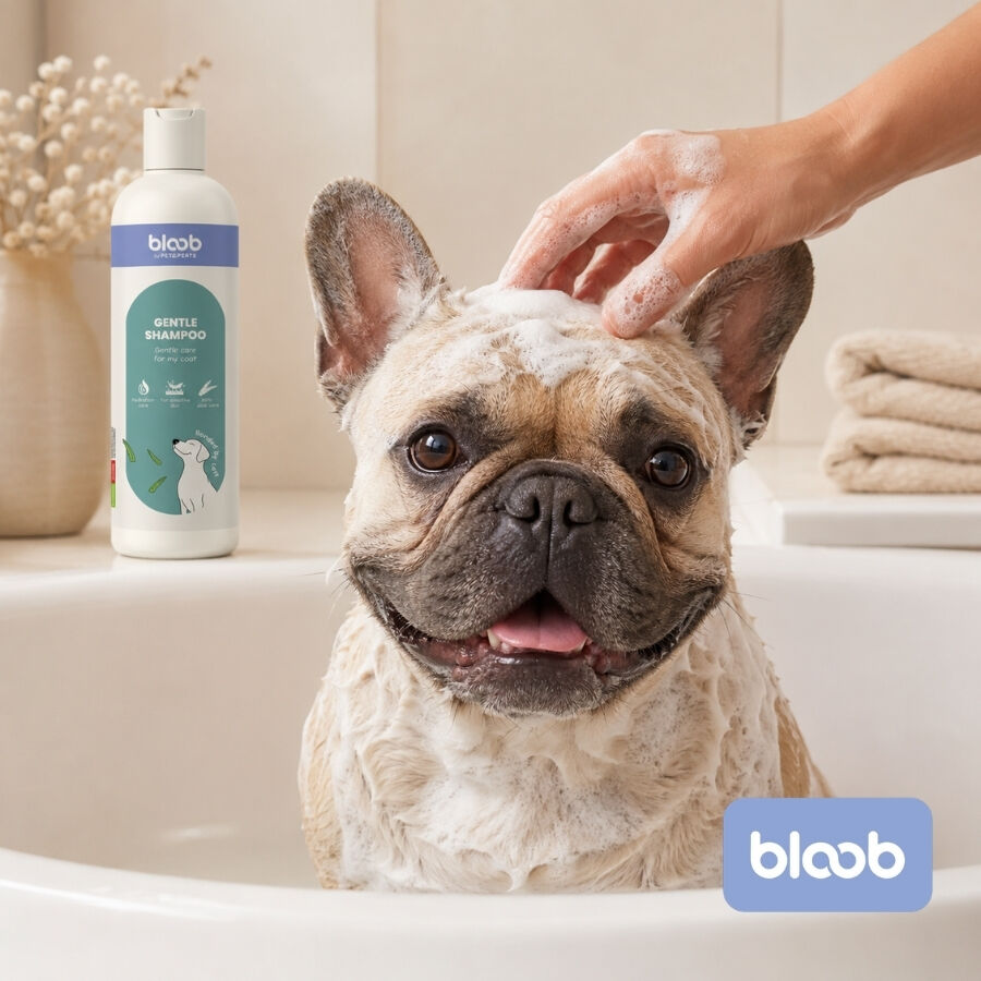 Bloob Champ&uacute; Piel Sensible Aloe Vera para perrros, , large Imagen numero 2