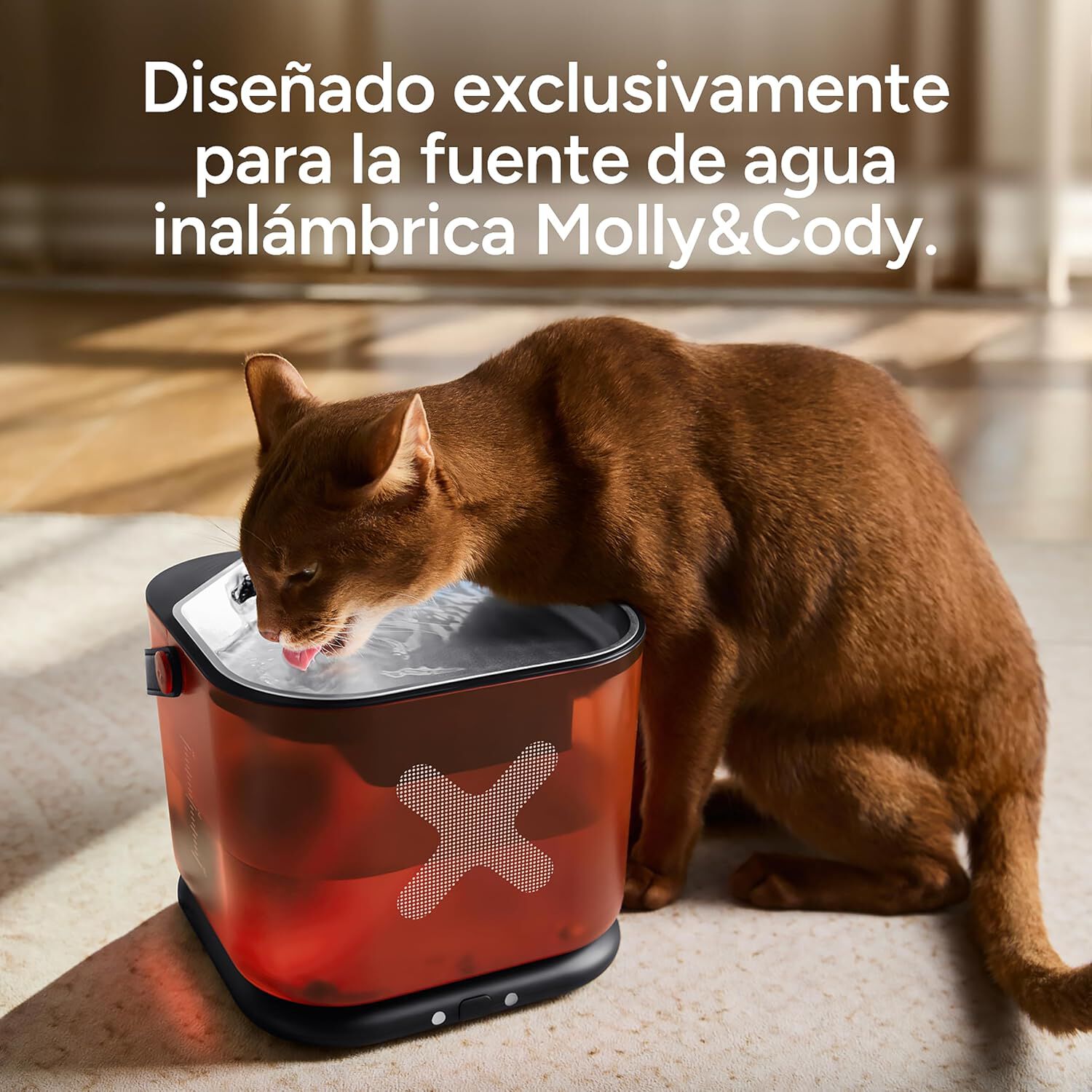 Molly&Cody Pack de 8 Filtros y 8 Esponjas de Repuesto para Fuente de 3 L, , large Imagen numero 5