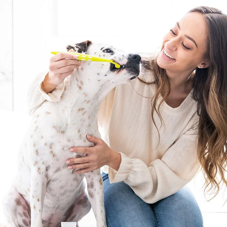 Petosan Kit Dental Grande para perros y gatos thumbnail