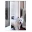 LIBREPETCAT, , large indicador imagen numero 2