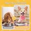 Nobleza Juguetes Interactivos para Perros Pequeños Dispensador interactivo de Recompensas Rompecabezas para Perros, , large indicador imagen numero 5