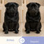 Bloob Champ&uacute; Definidor Mantos Negros Mel&oacute;n para perros, , large indicador imagen numero 4
