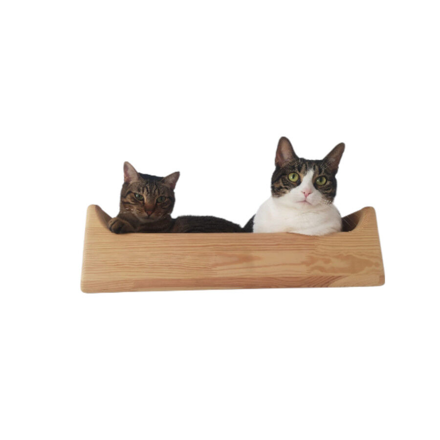 Cama Rectangular, , large Imagen numero 1