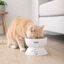 Leeby Comedero Elevado de Cer&aacute;mica Blanco para gatos, , large indicador imagen numero 1