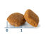 12 kg Nath Adult Medium Maxi Sensitive Pescado Blanco y Salmón pienso para perros, , large indicador imagen numero 3