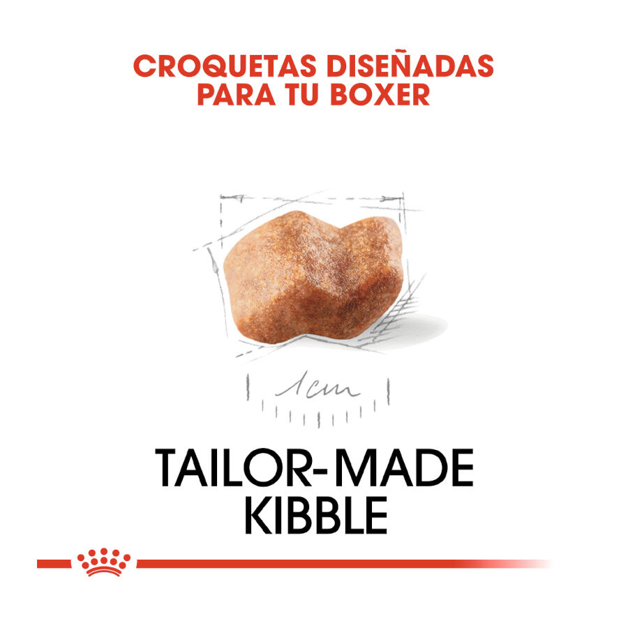 Royal Canin Puppy Boxer pienso para cachorros thumbnail