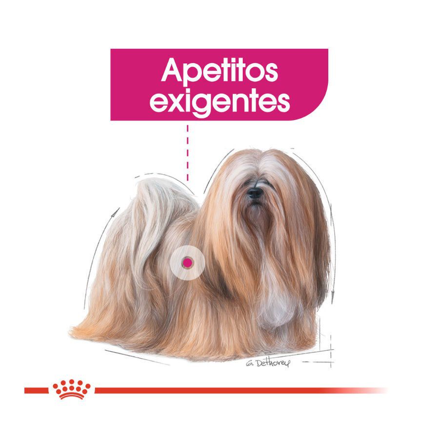 Royal Canin Exigent Mini pienso para perros thumbnail