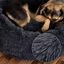 EL &Aacute;TICO PETS Cama Perro Mediano y Peque&ntilde;o. Cama para Perros. Cojin Resistente y Lavable. Cama de Pelo Largo para Gatos y Otras Mascotas Medianas, 70 x 70 CM, , large indicador imagen numero 2