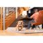 Petsafe sistema de adiestramiento apoyo educativo para perros, , large indicador imagen numero 5