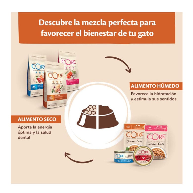 Wellness Core 98% Duo Protein Salmón y Pollo tarrina para gatos, , large image number null