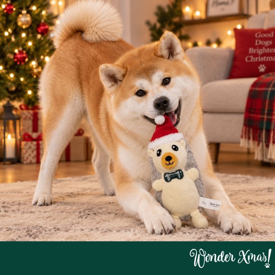 Wonder Christmas Erizo Peluche para perros, , large Imagen numero 2