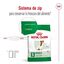 2 x 8 kg Royal Canin Mini 8+ Adult pienso para perros ¡Pack ahorro!, , large indicador imagen numero 4