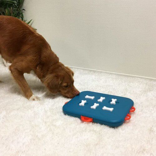 Juguete interactivo para perros color Azul y Rojo thumbnail