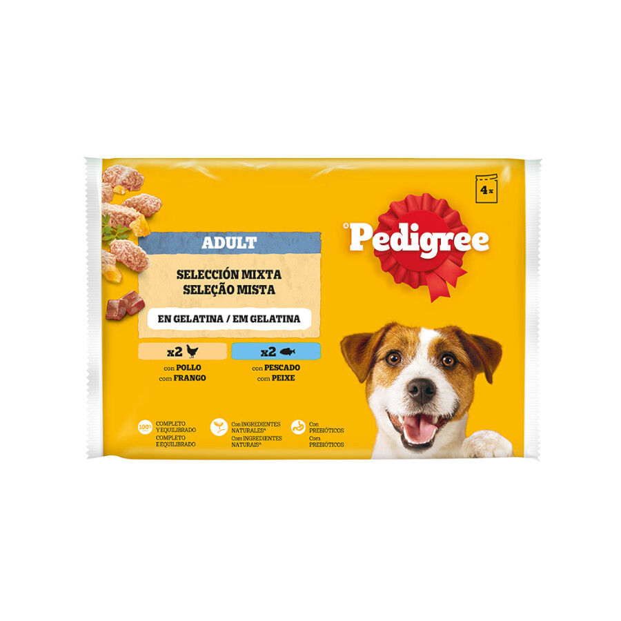 Pedigree Pollo y Pescado Gelatina en Bolsita para Perros - Multipack thumbnail