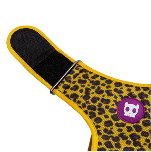 Arn&eacute;s Zee.dog HONEY Mesh S, , large Imagen numero 5