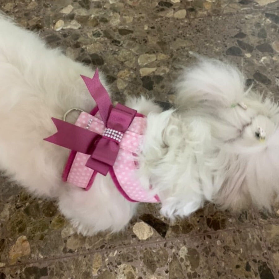 Ideal Pets, Arn&eacute;s para perros, modelo Rosa Malva, , large Imagen numero 2