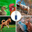 Finca casarejo spray azul olor natural para heridas de animales, , large indicador imagen numero 3