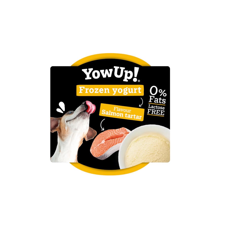 110 g YowUp! Yogur Helado Natural Tartar De Salm&oacute;n Para Perros, , large Imagen numero 3