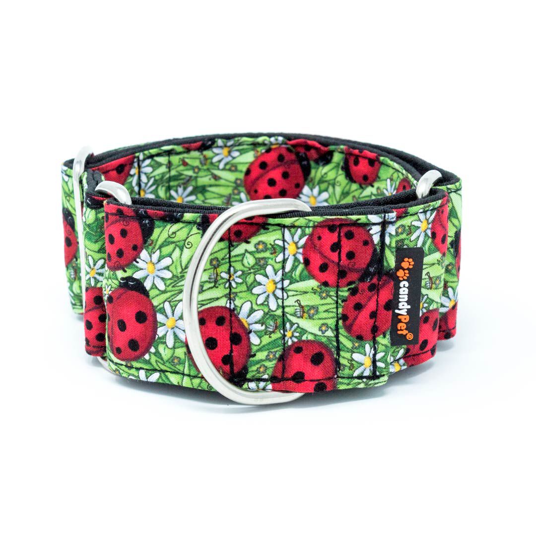 candyPet&reg; Collar Martingale para Perros - Modelo Mariquitas, M, , large Imagen numero 1