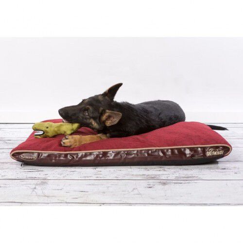 Cama ortopédica perro 2025 kiwoko