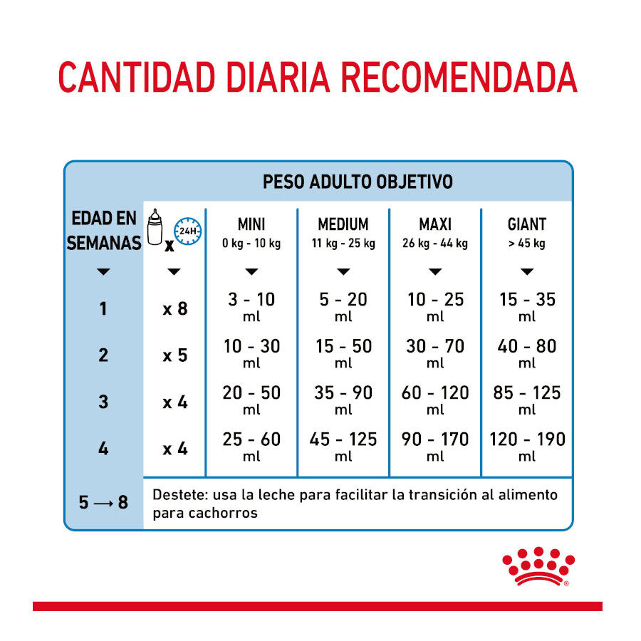 400 g Royal Canin Leche para cachorros primer a&ntilde;o, , large Imagen numero 8