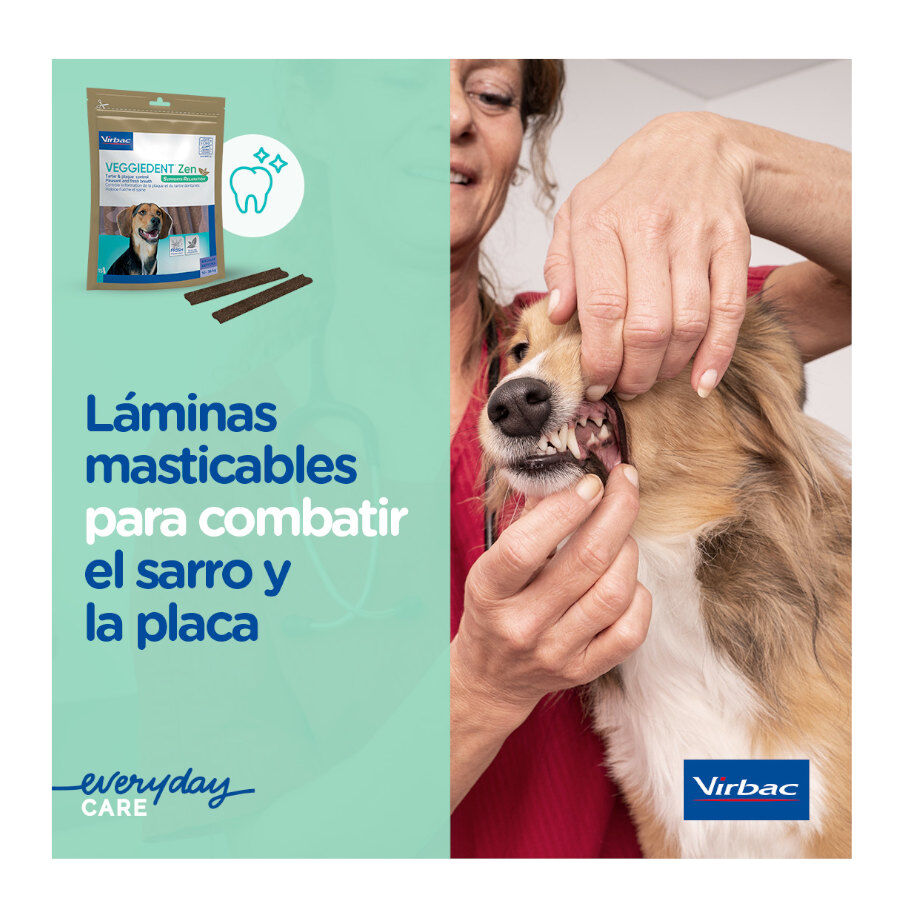 15 barritas Virbac L&aacute;minas Veggiedent Zen S para perros, , large Imagen numero 4