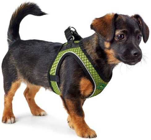 Hunter Arnés Hilo malla 3D transpirable para perros thumbnail