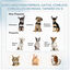 PawHut Parque Plegable para Perros y Gatos de 8 Paneles Parque de Juego para Mascotas con Bolsa de Transporte Recinto Portátil para Conejos Conejillos de Indias Ø154x76 cm Azul, , large indicador imagen numero 9