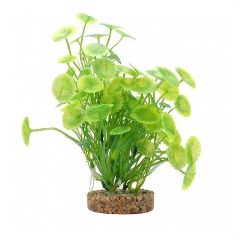 Planta artificial Lysimachia 20 cm color Verde, , large image number null
