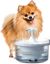 Bebedero Fuente de Agua Fresca y Transparente para Perros con Boquilla de Cascada Zeus Fresh & Clear, 1,5 l, , large indicador imagen numero 2
