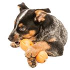 Juguete dispensador de premios para perros color Naranja, , large image number null