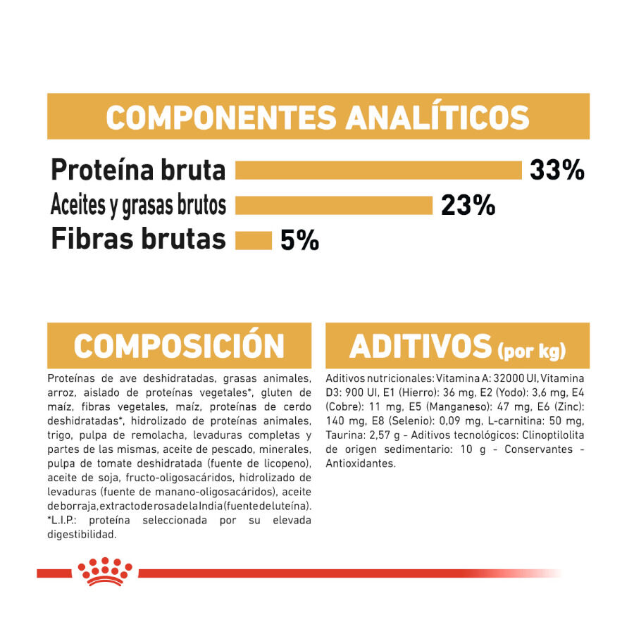 Royal Canin Adult Sphynx pienso para gatos thumbnail