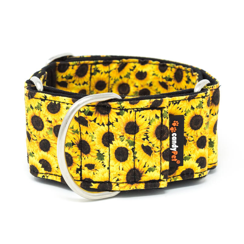 candyPet&reg; Collar Martingale para Perros - Modelo Amarillo, ANCHO ESPECIAL, , large Imagen numero 1