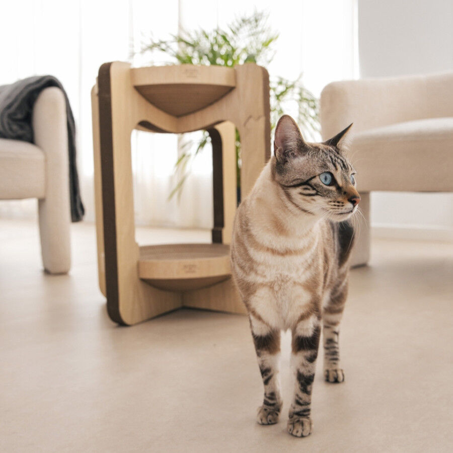 Althea Living - Rascador torre para gatos, cart&oacute;n corrugado, 2 alturas, reversible, , large Imagen numero 5