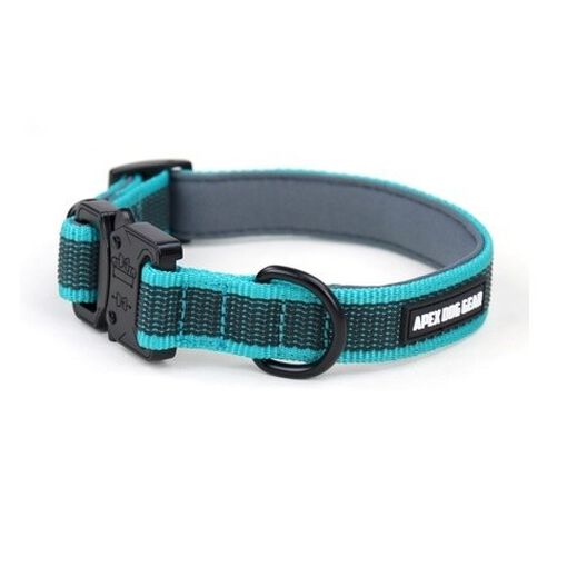mantener Rango Transitorio APEX DOG GEAR collar ajustable con cierre metálico turquesa para perros