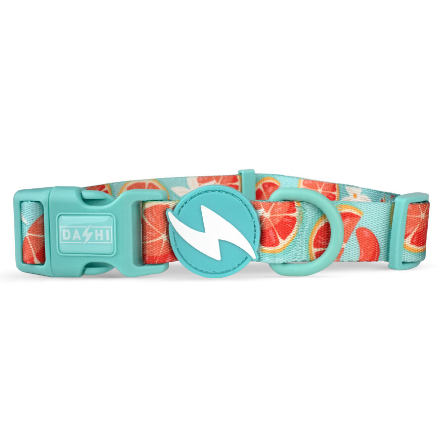Collar Eco Caribe, , large Imagen numero 1