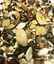 Exotic Fruit para loros, , large indicador imagen numero 2