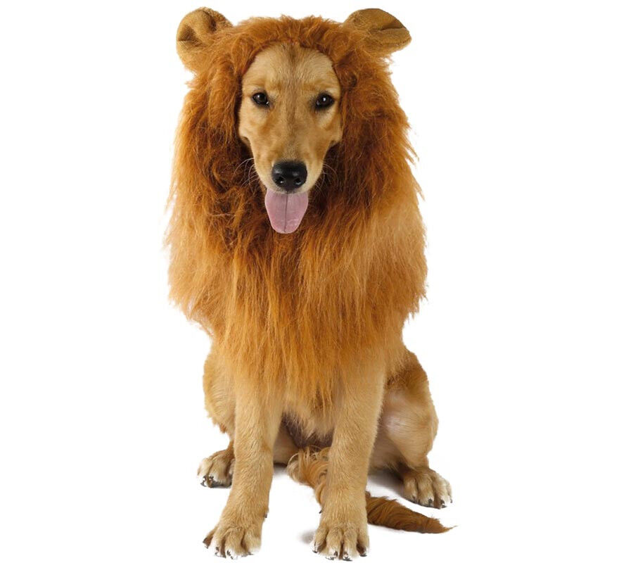 Disfraz o Capucha de Le&oacute;n para perro, , large Imagen numero 1