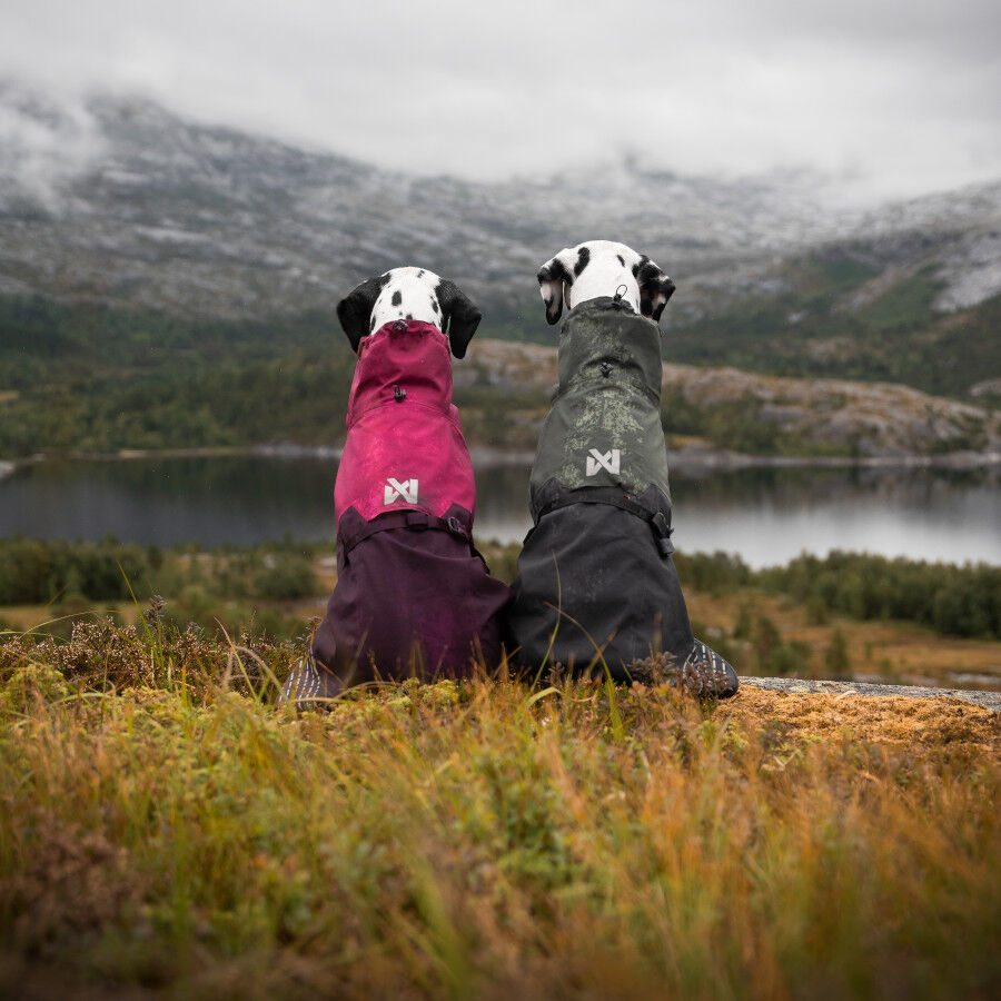 Non-stop dogwear Fjord Chubasquero Impermeable Negro y Verde para perros, , large Imagen numero 8